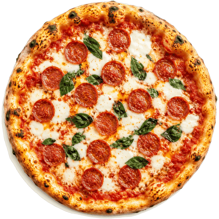 A whole pizza seen from above, the way Slice pictures a month of money