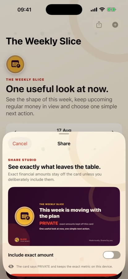 The Share Studio, showing a Weekly Slice card marked PRIVATE with exact amounts kept off it